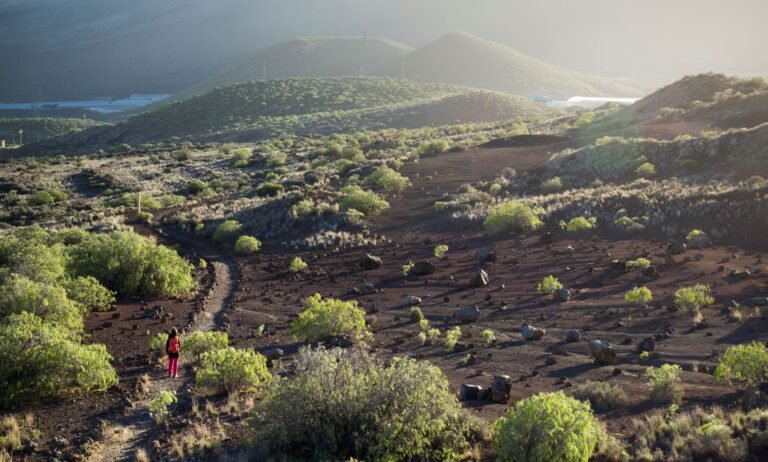 Por qué afirmamos que nosotros no somos de los que retrocedemos 21 un sendero que avanza entre montanas