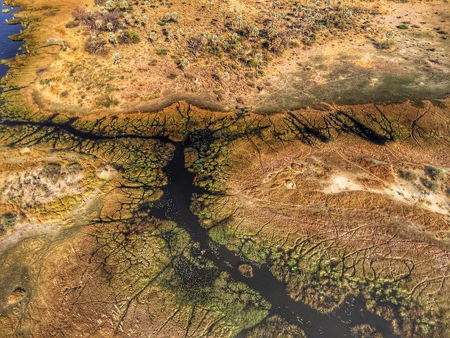 Qué hace del delta del Okavango en Botswana un destino único 5 Qué hace del delta del Okavango en Botswana un destino único